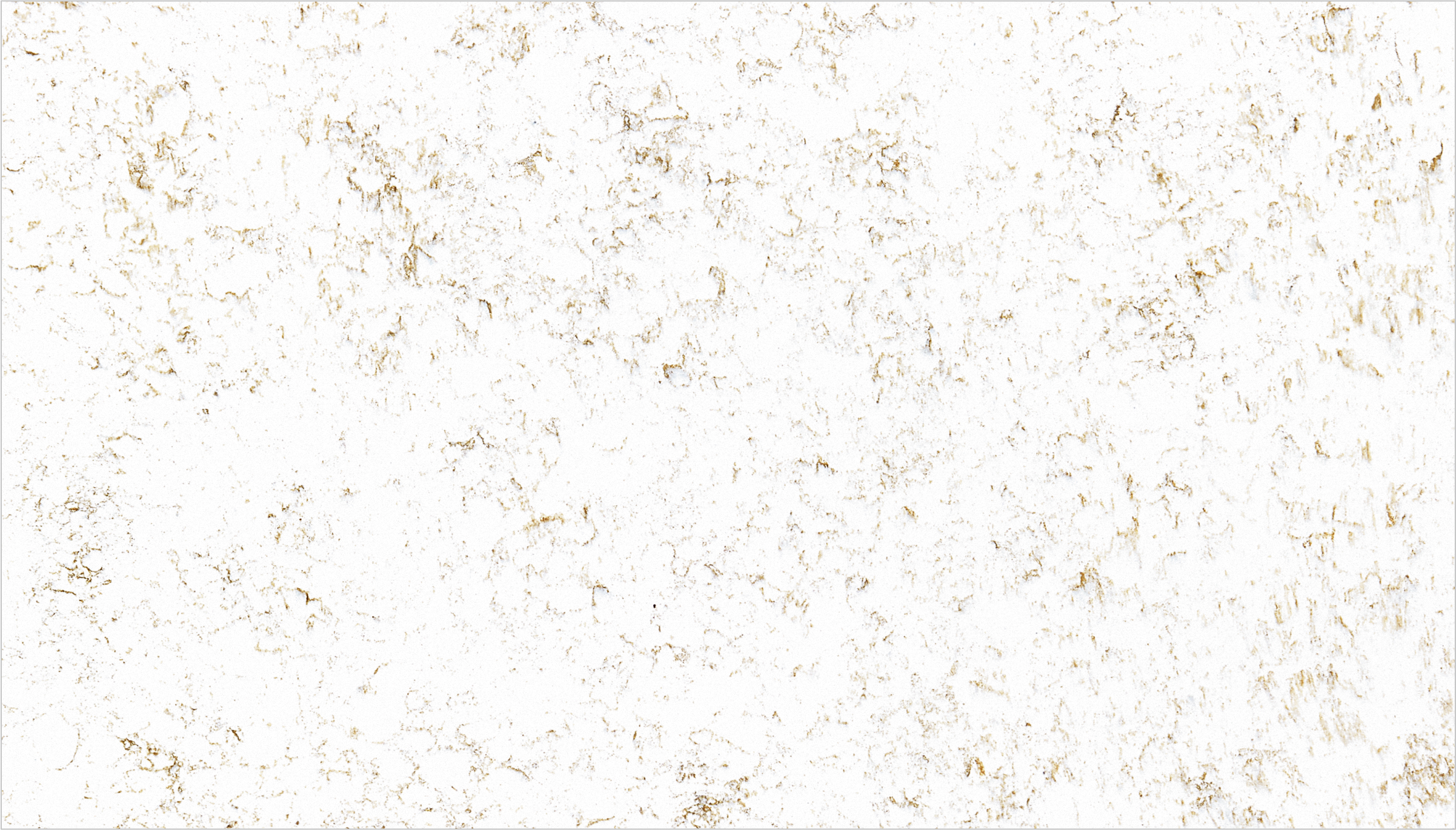 503-carrara-gold