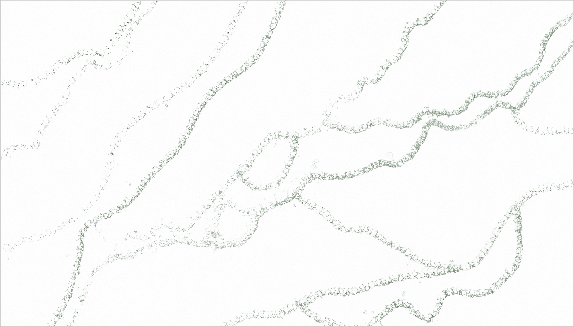 606-colorado-green