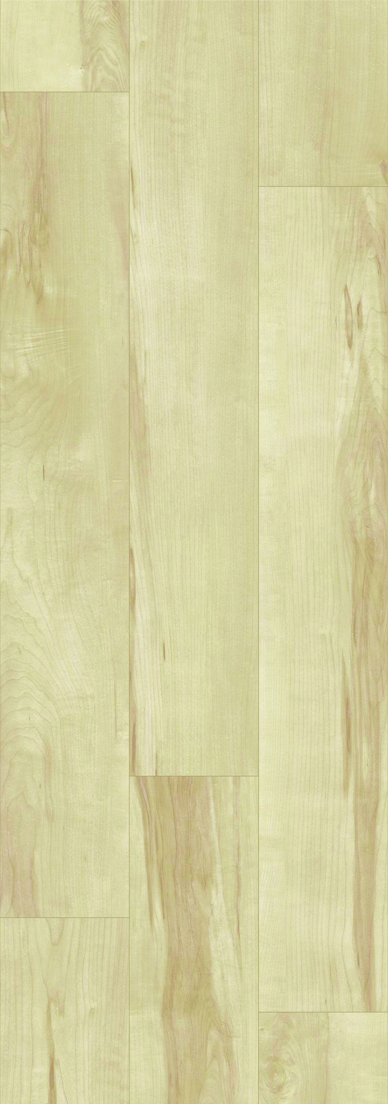 1145-ancient-oak-ivory